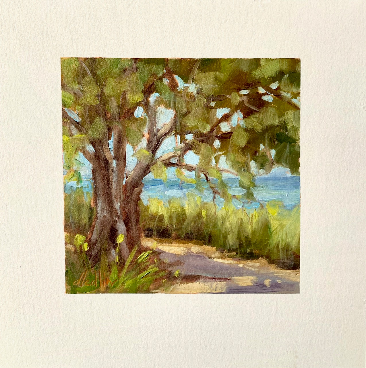 Shady Oak