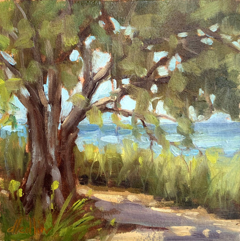 Shady Oak