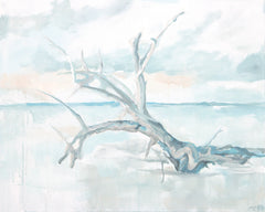 Sky Drift