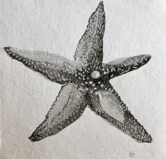 Starfish
