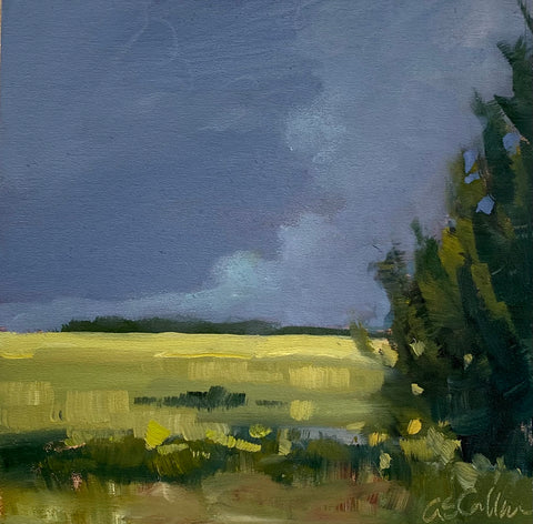 Storm Light