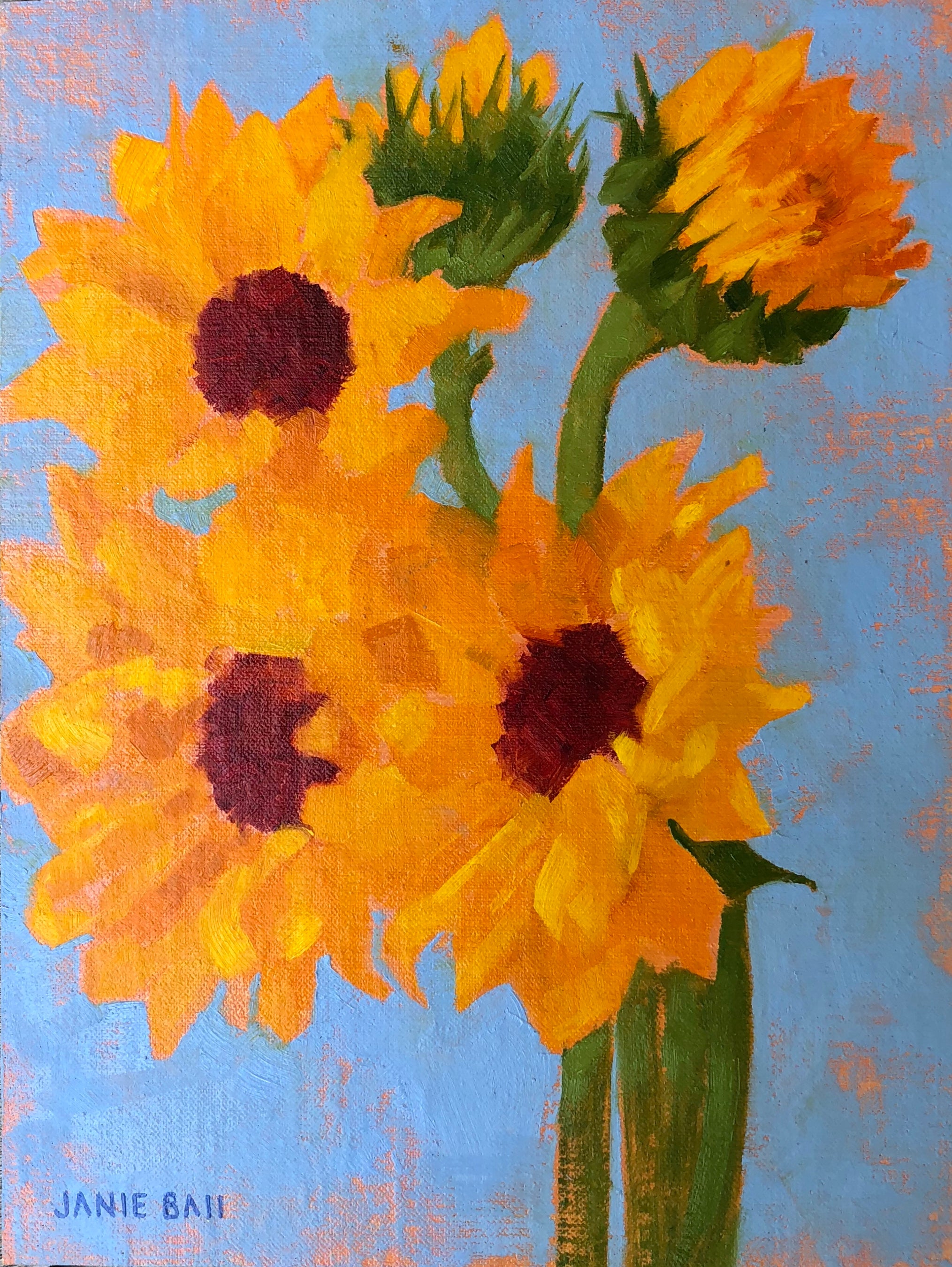 Sunflowers