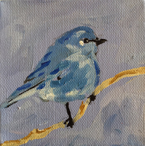 Summer Bluebird