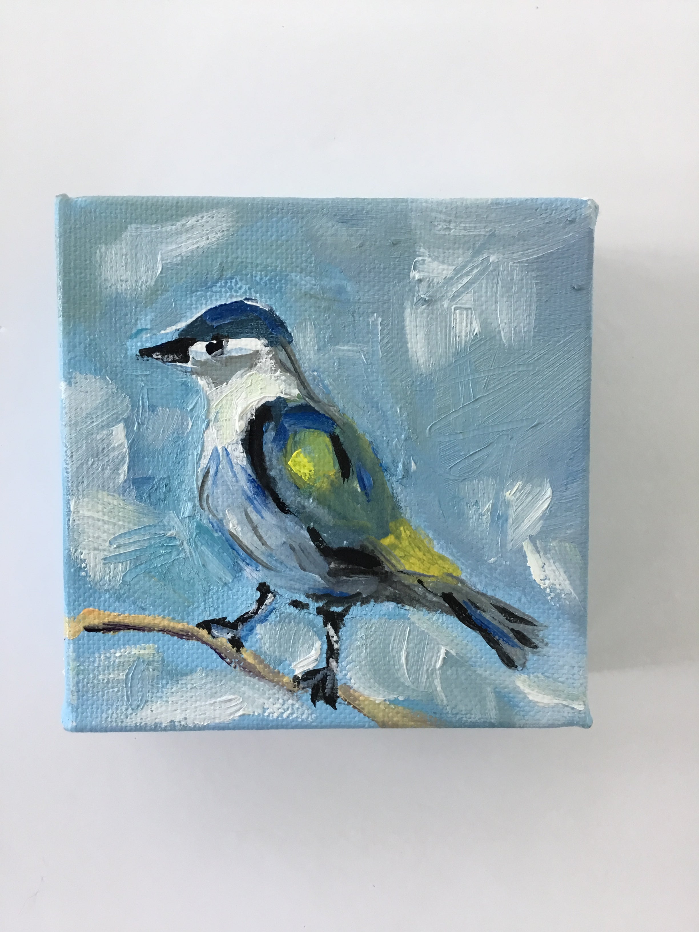 Morning Bird