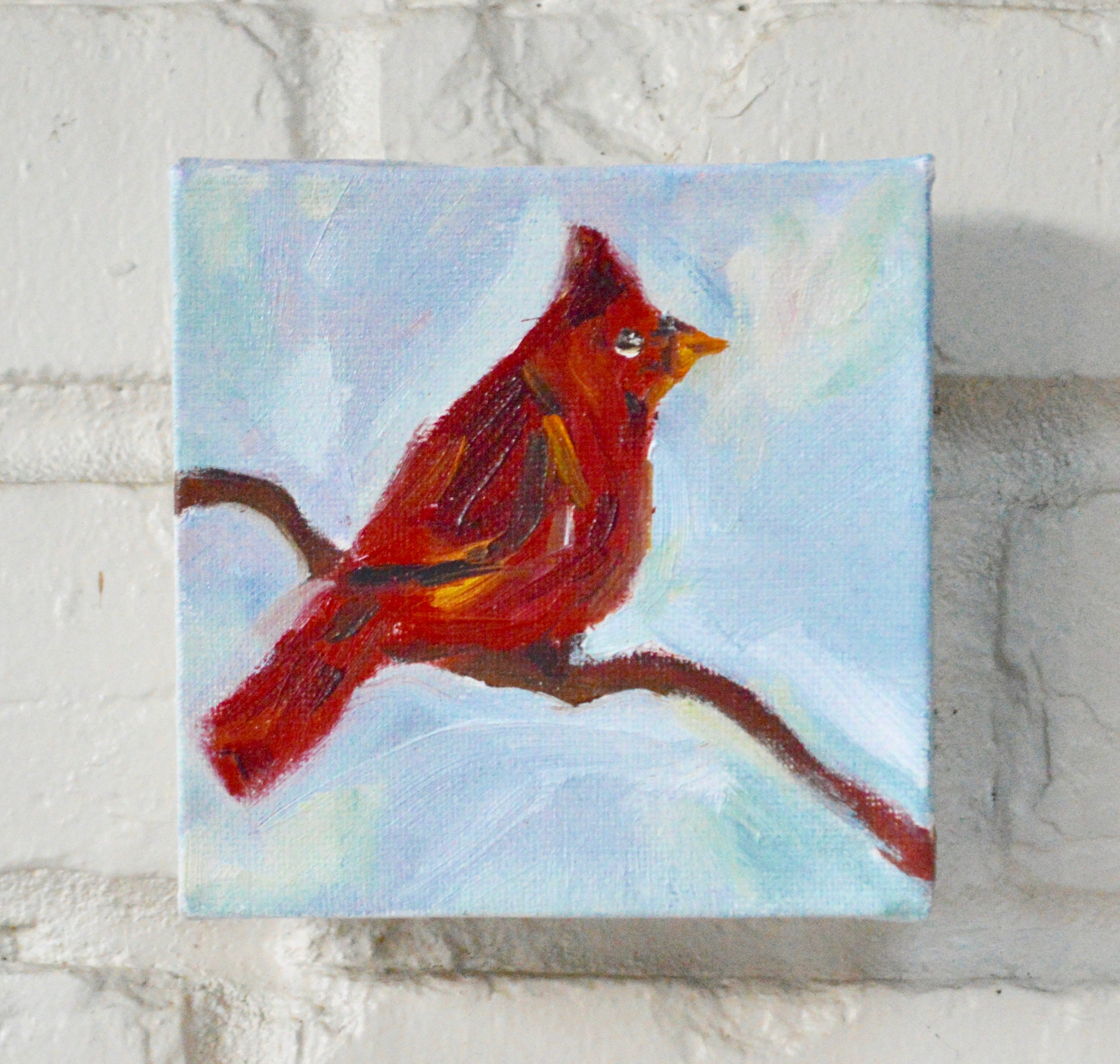 Morning Cardinal