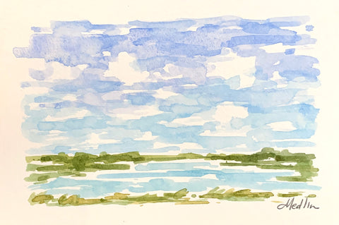 Tidal Marsh X