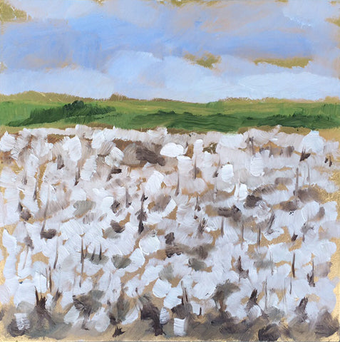 Cotton Clouds