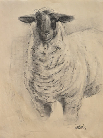 Sheep Study II