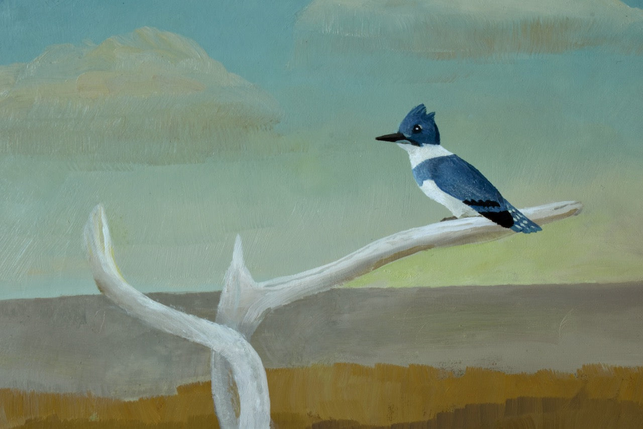 Kingfisher